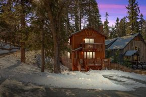 Moon Bears Modern Chic Dog Friendly Cabin Big Bear Lake